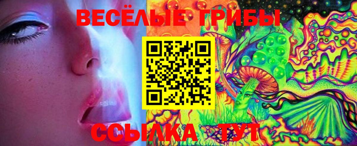 Галлюциногенные грибы Cubensis Михайловск
